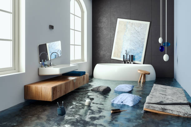 Best Professional water damage repair  in Summerfield, NC