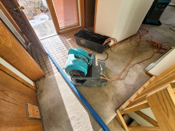 Best Mold removal after water damage  in Summerfield, NC