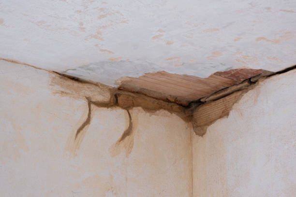 Best Local water damage restoration  in Summerfield, NC