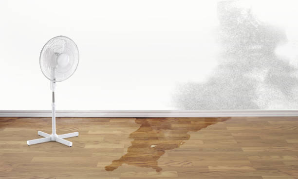Best Water damage restoration near me  in Summerfield, NC