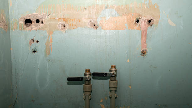 Best Water damage repair service  in Summerfield, NC