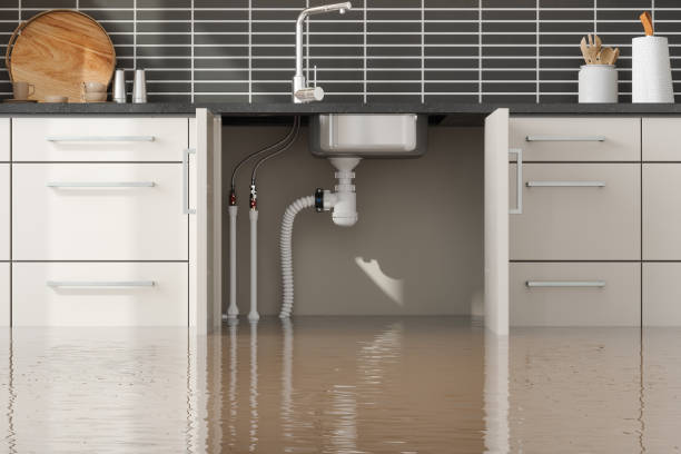 Best Residential water damage restoration  in Summerfield, NC