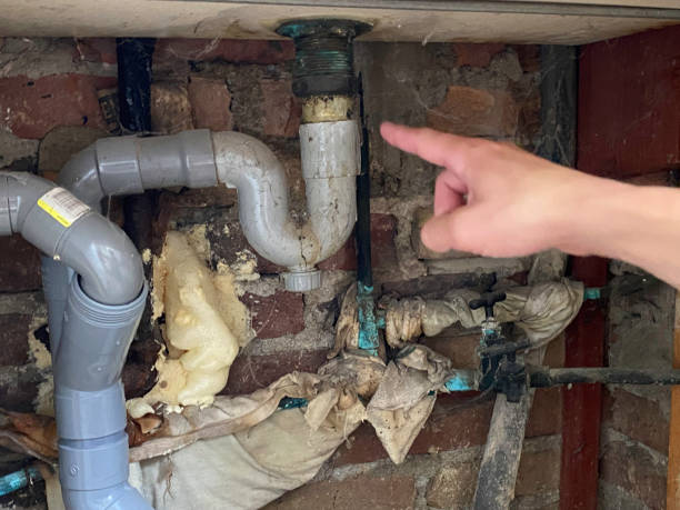 Best 24/7 water damage repair  in Summerfield, NC