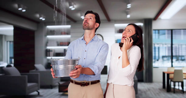 Best Flood damage cleanup  in Summerfield, NC